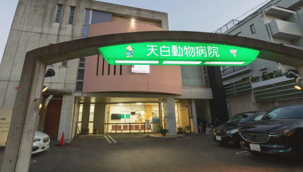 早期発見・早期治療