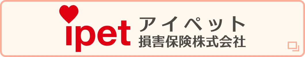 各種保険対応しております