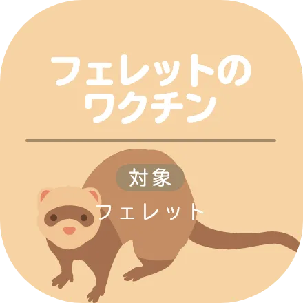 フェレットのワクチン