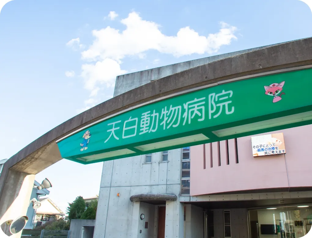 天白動物病院