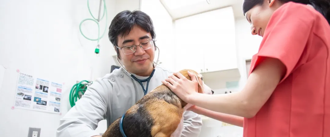 当院で行えるお口のケア 当院で行えるお口のケア