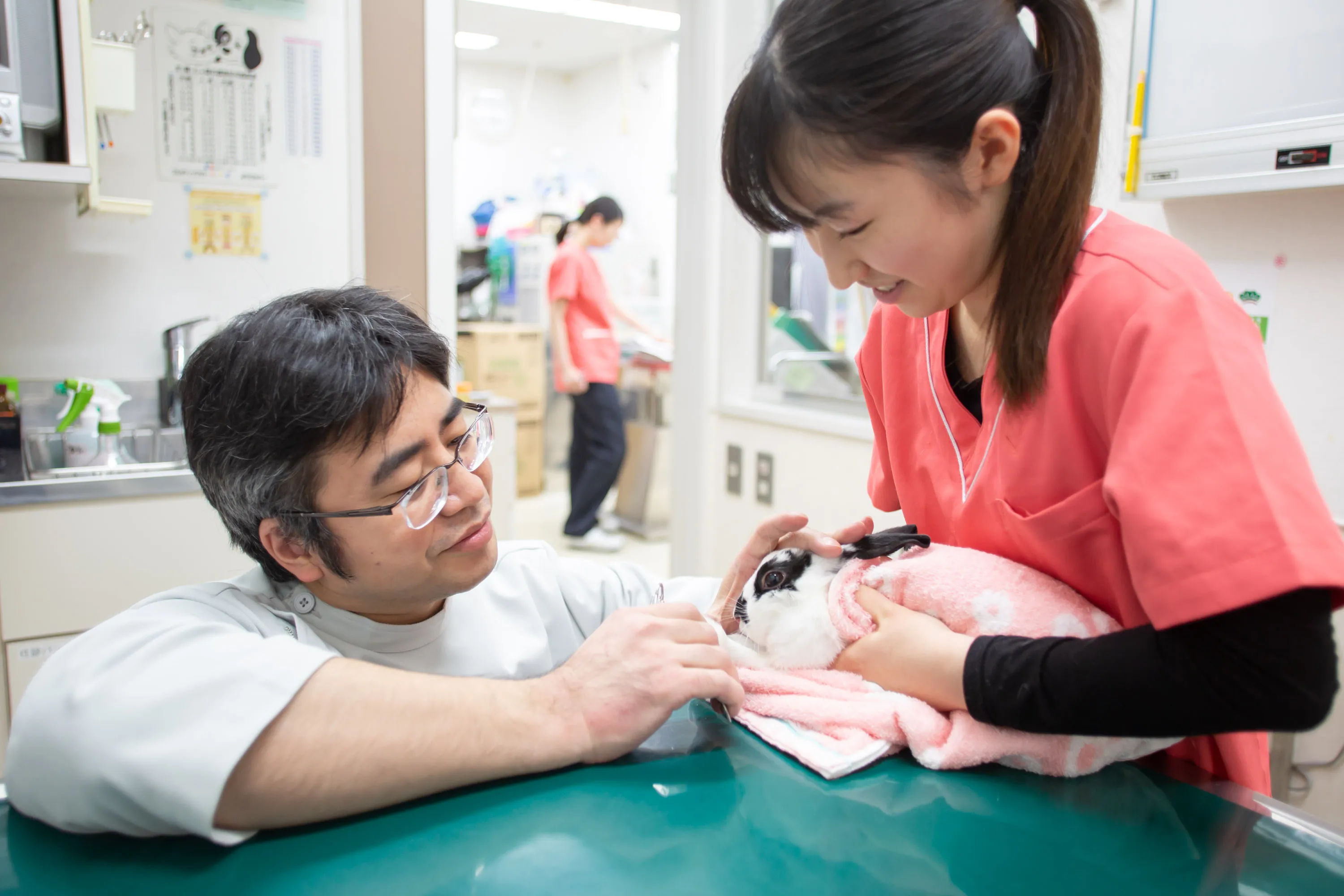 どうしても不安や抵抗があり、手術のできない飼い主様へ どうしても不安や抵抗があり、手術のできない飼い主様へ