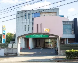 マスクグループ 823 外観