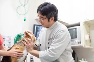 ペットの健康診断は定期的に受けていますか？