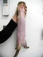 治療