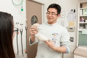 インスリノーマの治療
