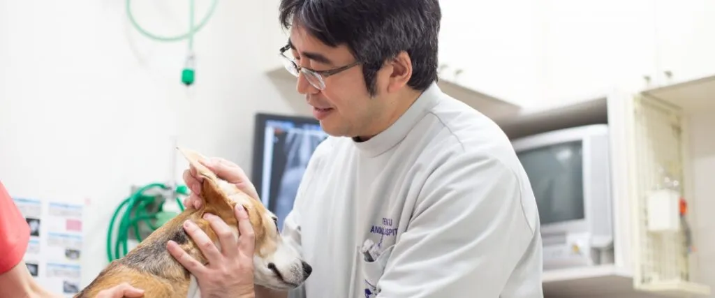 ペットの健康診断は定期的に受けていますか?