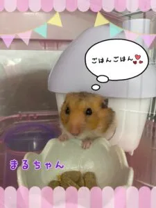 まる