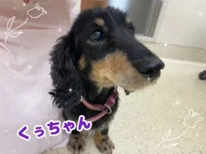 くう