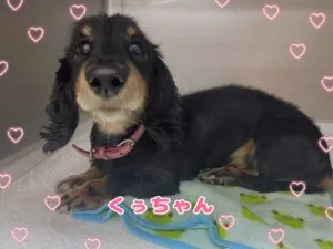 くぅ