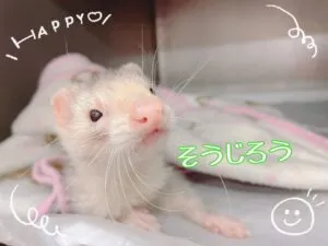 そうじろう