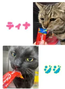 てぃなじじ