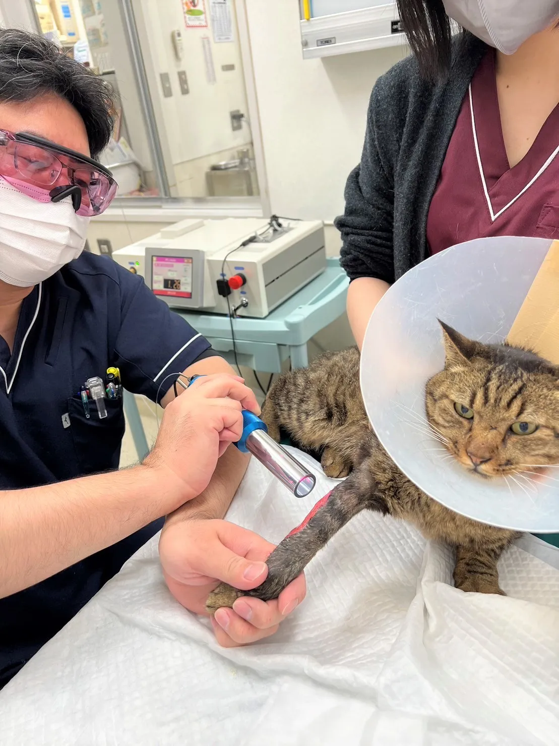 画像③ 画像③