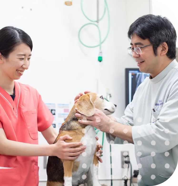 ペットにより優しく、より負担の少ない治療を目指して、レーザー治療（半導体レーザー）を導入しています。