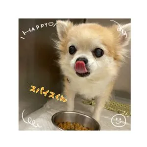 スパイスくん