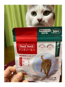 犬猫の高齢期による足腰のサポートでできること