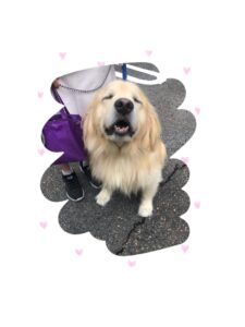 ☆りく君☆