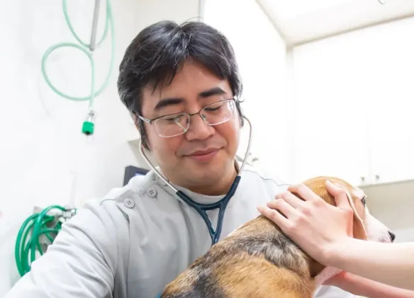 doctor 院長