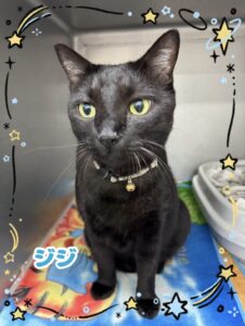ジジくん