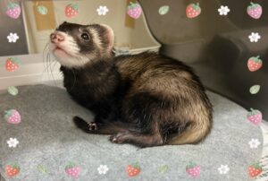 ネムちゃん❤️