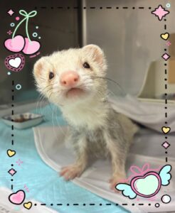 つむぎちゃん❤️